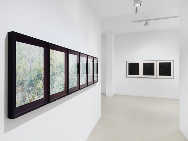 2025 03 14 Keteleer 9662