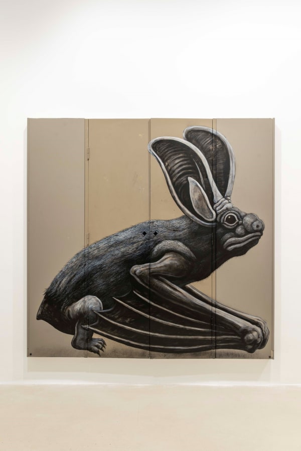 Keteleer Roa Long Eared Bat