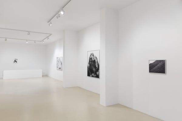 2021 12 04 Keteleer Gallery 3426 Web