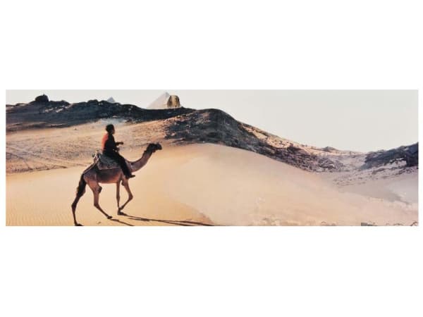 3185 Panamarenko Zoomshopcrop 3 4