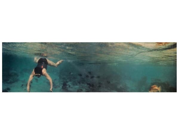 3185 Panamarenko Zoomshopcrop 3 4 2