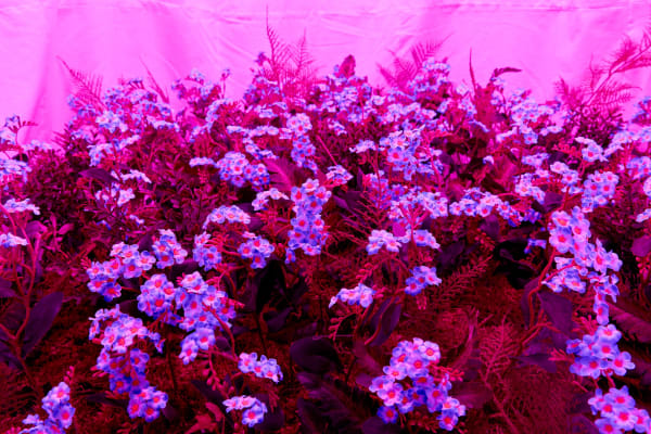 2022 10 19 Keteleer7069 Web