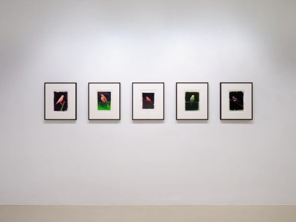 2023 06 30 Keteleer 4377 Web