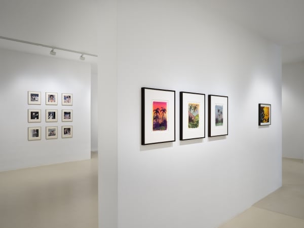 2023 06 30 Keteleer 4395 Web