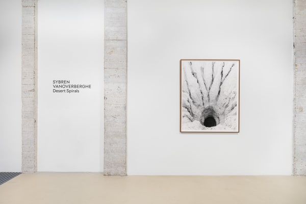 Desert Spirals Sybren Vanoverberghe View 01 Dsc05847 Kopie