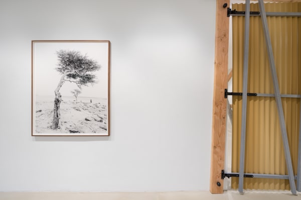 Desert Spirals Sybren Vanoverberghe View 11 Dsc06006 Kopie