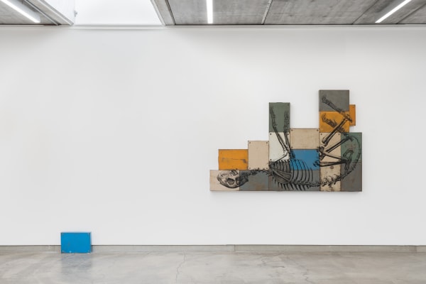 2309 Symbiosis Roa View 06 Dsc06818 Edit