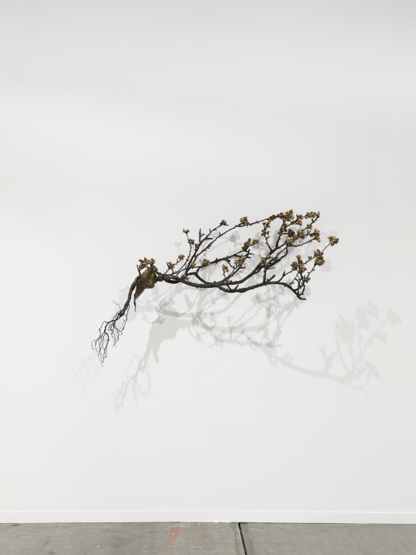 2025 04 23 Artbrussels 1124 Web
