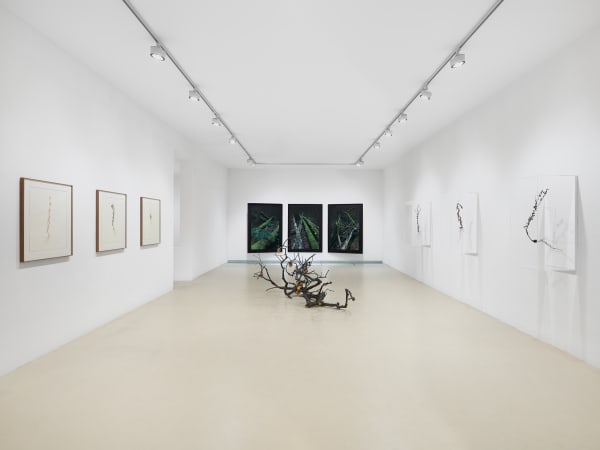 Javier Pérez Still Life
