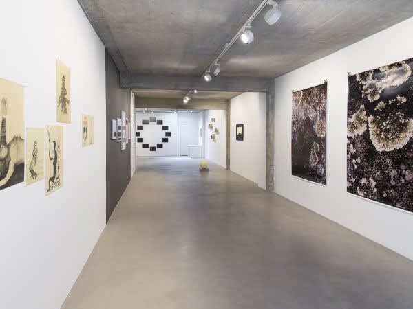 and she saw that it was good curated by nadia bijl