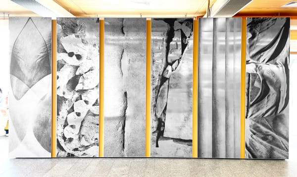 Sybren Vanoverberghe at UZ Brussels (BE)
