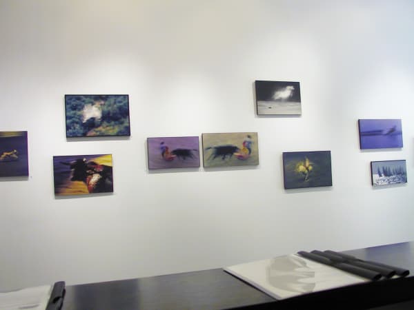 Ernst Haas