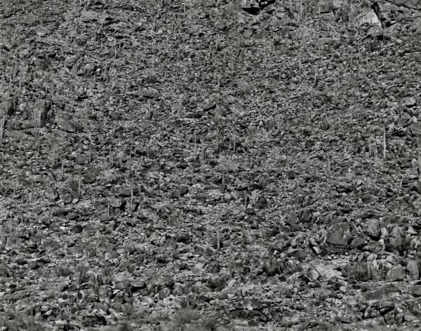 Frederick Sommer (1905-1999) Arizona Landscape, 1943 Gelatin silver print mounted to board, printed later Signed, titled and dated in pencil on mount verso 7 1/2 x 9 1/2 in (19.1 x 24.1 cm) Mount: 12 1/4 x 14 3/8 in (31.1 x 36.5 cm)