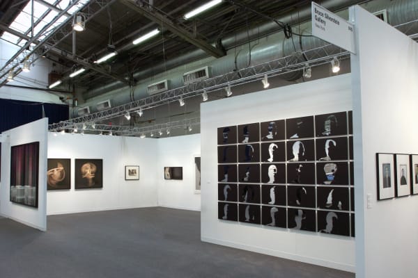 THE ARMORY SHOW 2013