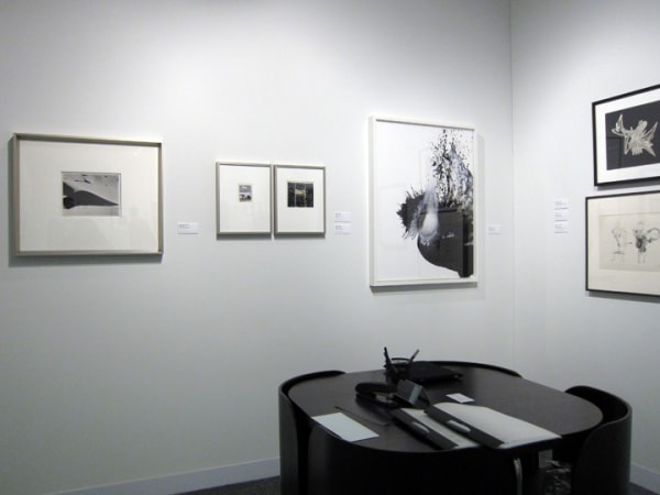 THE ARMORY SHOW 2011