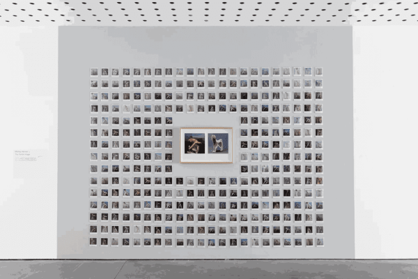 States of Disruption Centre for Contemporary Photography