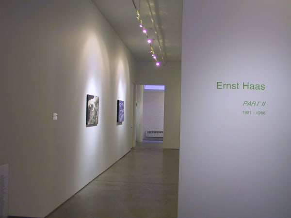Ernst Haas reCreation Part II