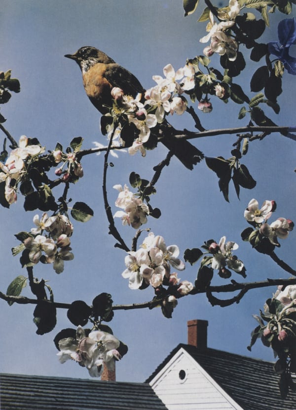 Paul Outerbridge