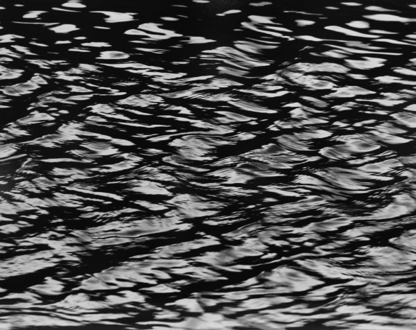 Larry Silver New Vision