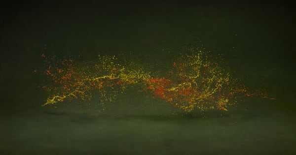 Shinichi Maruyama Gardens