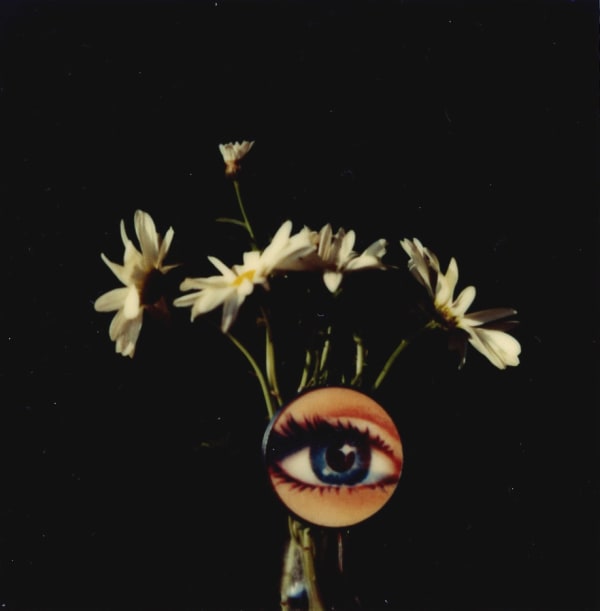 André Kertész The Polaroids