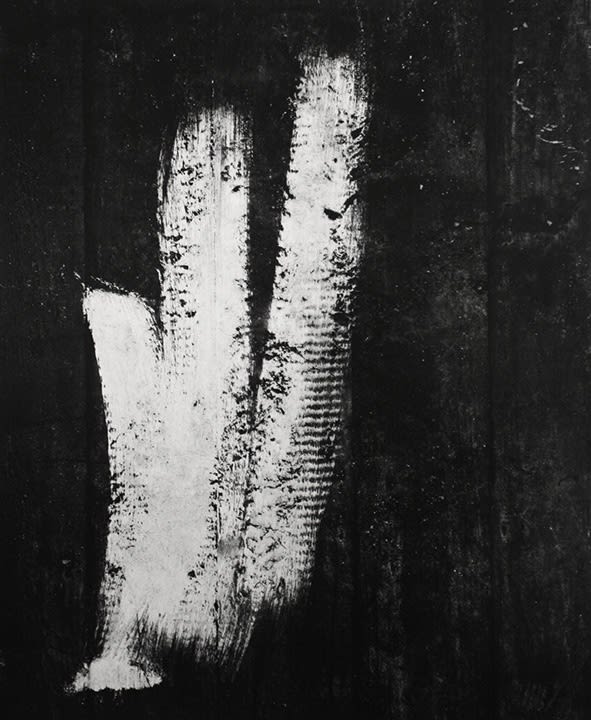 AARON SISKIND AT THE VIRGINIA MUSEUM OF FINE ARTS