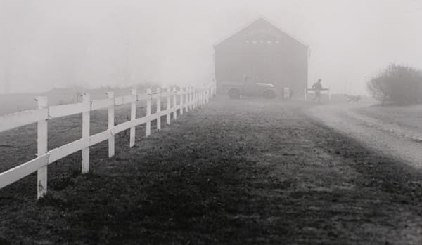 Larry Silver, Anytime Farm, Fairfield, CT, 1982
