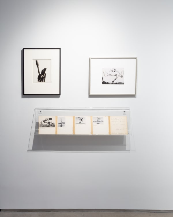 Installation image, Photographer as Sculptor, Sculptor as Photographer