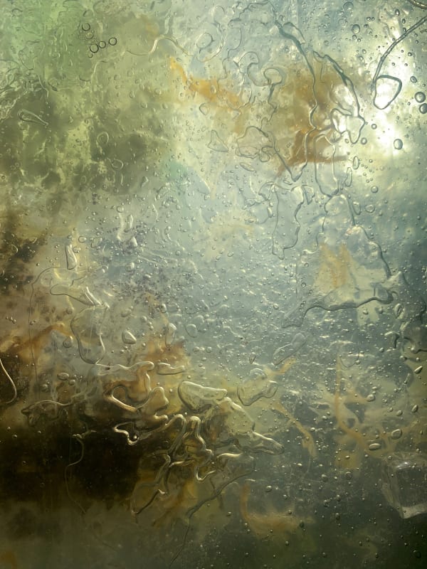 Sophie Mei Birkin, We'll meet again as cells on the salt marsh, 2022