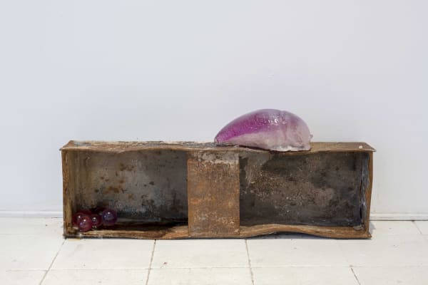 Pınar Marul, Leech’s nest, 2022