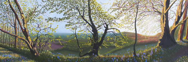 Kit Glaisyer, Bluebells on Lewesdon Hill, West Dorset, 2019-2022