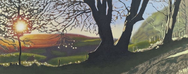 Kit Glaisyer, Lewesdon Hill Split Tree