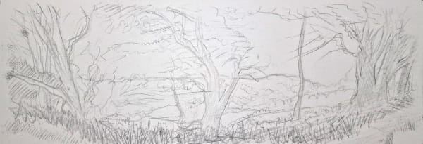 Kit Glaisyer, Spring on Lewesdon Hill