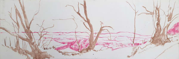 Kit Glaisyer, Lewesdon Bluebells Sketch