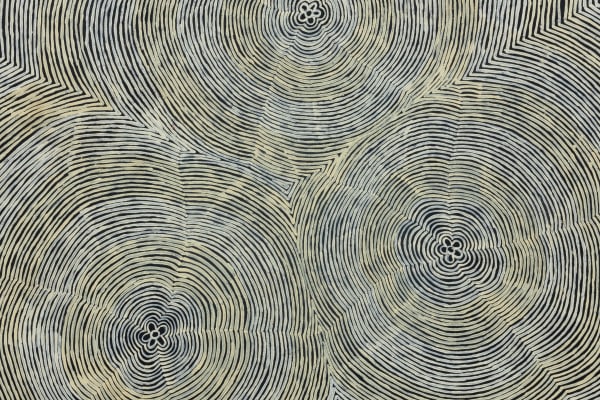 Puuni Brown Nungarrayi - Kapi Tjukurrpa 13, 2024