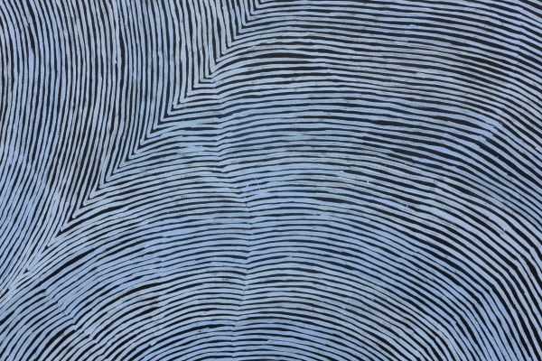 Puuni Brown Nungarrayi Kapi Tjukurrpa