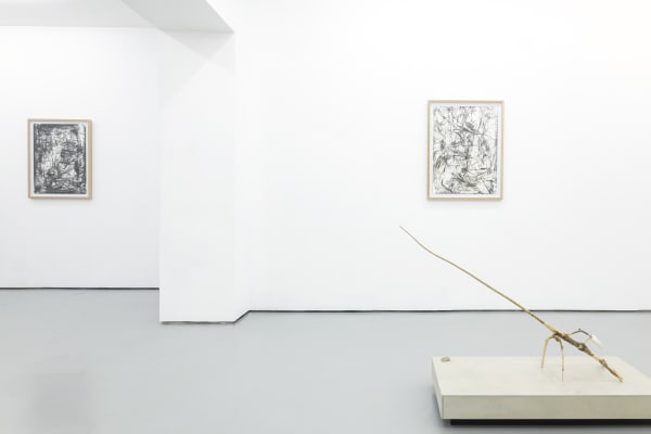 Shan Turner-Carroll, The Snake, The Rock and The River