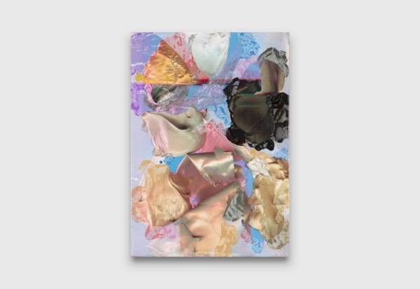 Andre Hemer Sky Painting #10, 2018 acrylic and pigment on canvas 185 x 130 cm 72 53/64 x 51 3/16 inches