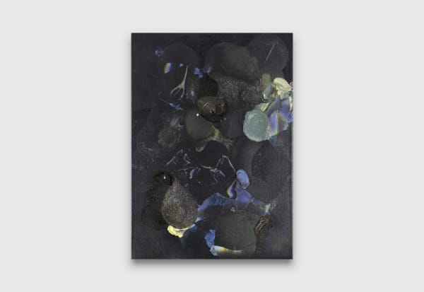 Andre Hemer Sky Painting #13, 2018 acrylic and pigment on canvas 185 x 130 cm 72 53/64 x 51 3/16 inches