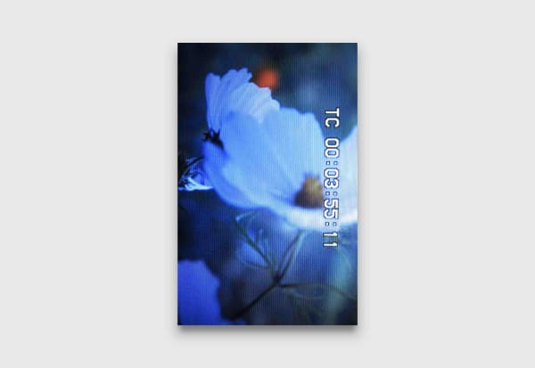 Colin Snapp TC00035511, 2015 c-print photograph 183 x 117 cm