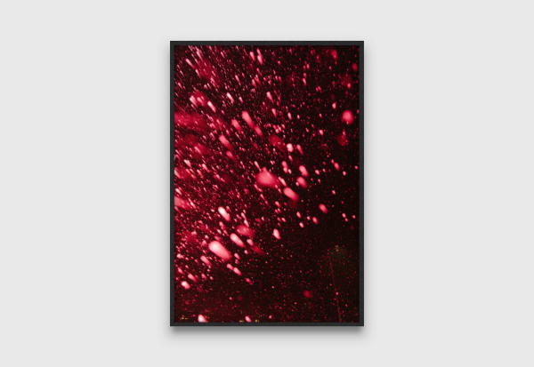 Shan Turner-Carroll Blueberry, 2024 archival digital ink jet print 110 x 73.5 cm (print) 43 1/4 x 29 in (print)