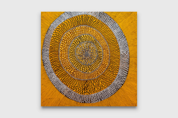 Kieren Karritpul Large Yellow Mat, 2023 acrylic on canvas 200 x 198 cm 78 3/4 x 78 in