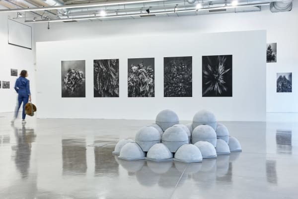 Paysages productifs du 25 septembre 2020 au 26 avril 2021, Frac Provence-Alpes-Côte d’Azur, vue d'exposition © Laurent Lecat