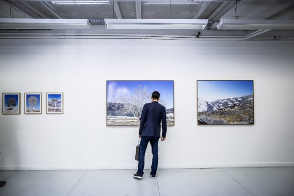 Raphaëlle Peria - vue de l'exposition "Marinus Asiaticus", 2017. Solo show, Galerie Papillon, Paris Courtesy Galerie Papillon © CPGA Luccicanza