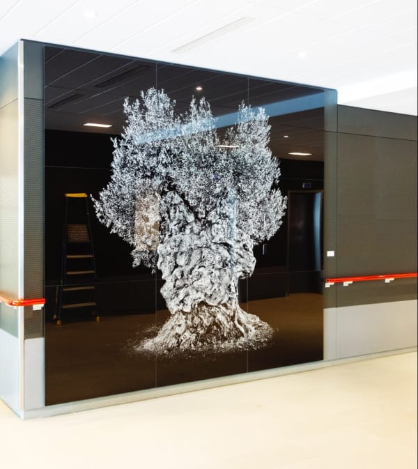 Vue Leornardo, Groupe Hospitalier Diaconesses Croix Saint-Simon. © Antoine Schneck