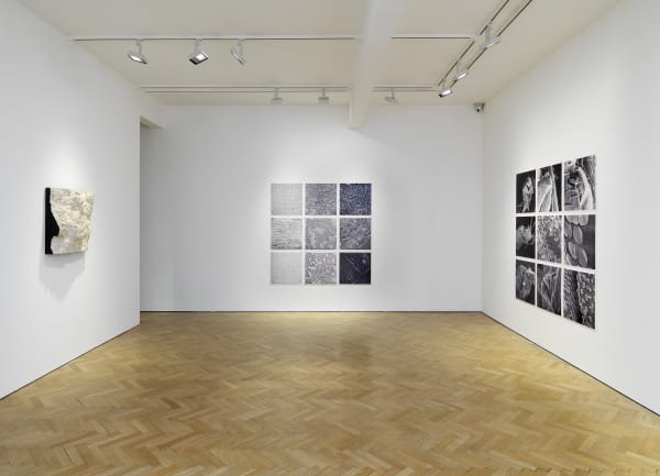 BOYLE FAMILY CONTEMPORARY ARCHAEOLOGY. THE WORLD SERIES LAZIO SITE, 1968-2013 – Vigo Gallery, London
