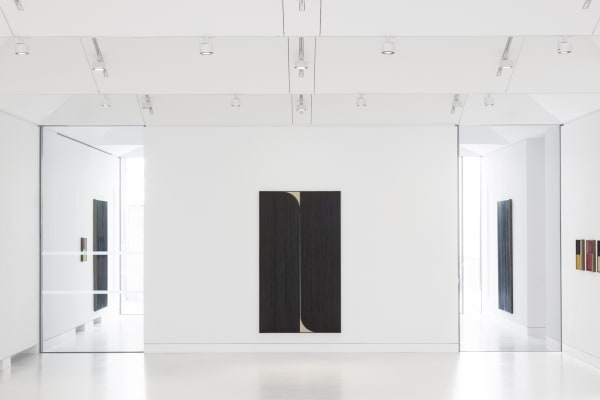 JOHNNY ABRAHAMS AFTER HYACINTH, AFTER ANEMONE – Pavillion Gallery, London