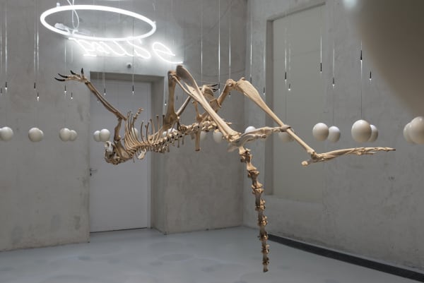 Andachtsraum, 2014 Installation sonore, néons, oeufs d'autruche, os, son
