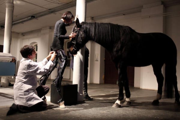 Que le cheval vive en moi, 2011