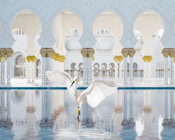 The Way of Ishq, Grand Mosque, Abu Dhabi, 2019